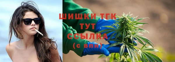 прущий лед Бородино