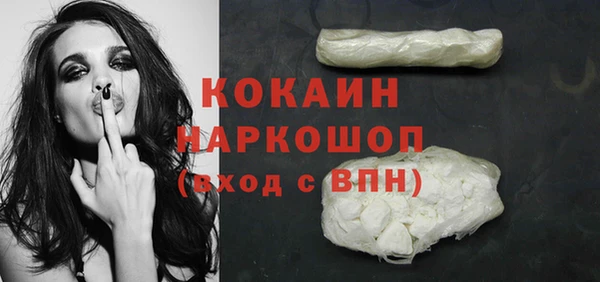 прущий лед Бородино