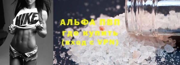 прущий лед Бородино