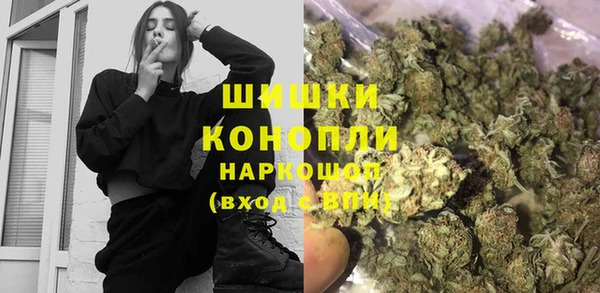 прущий лед Бородино
