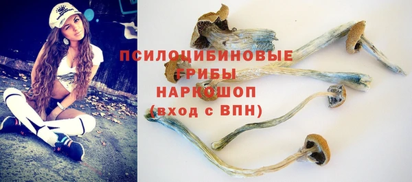 прущий лед Бородино
