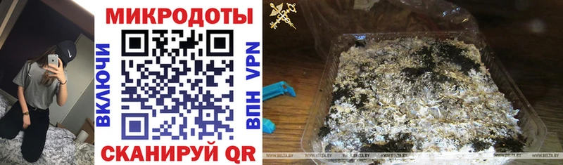 закладка  Карачев  Псилоцибиновые грибы мухоморы 